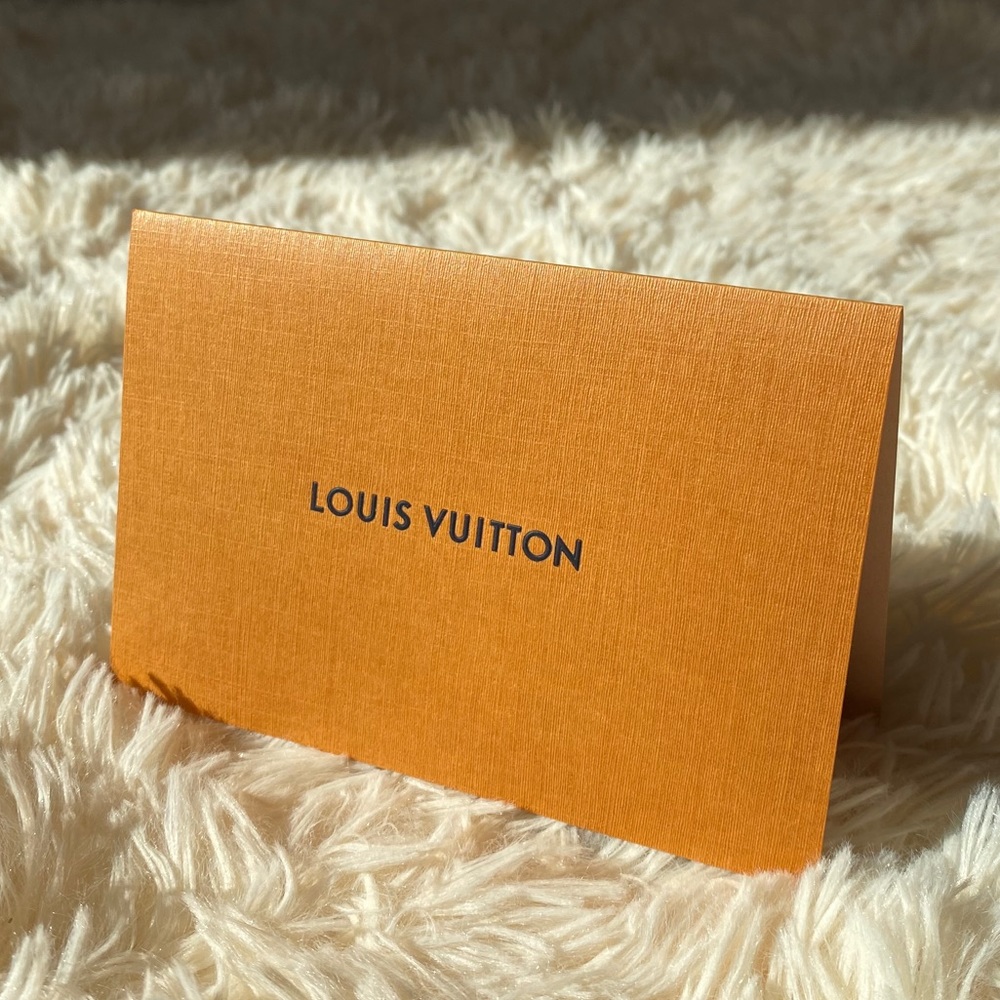 LOUIS VUITTON Envelope